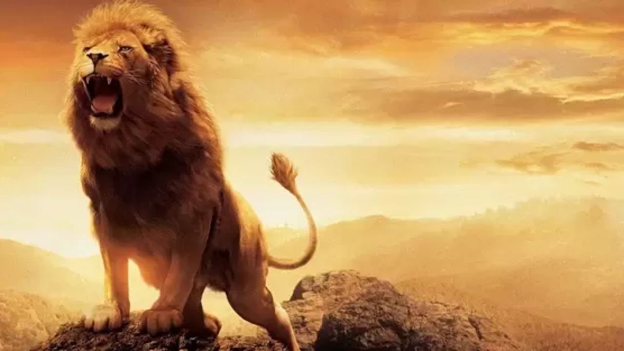 Rüyada aslan görmenin anlamı nedir? Güç, cesaret ve liderlik sembolü mü?