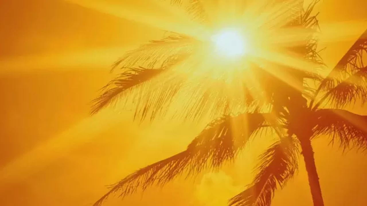 D3 vitamini eksikliği sağlığınızı tehdit ediyor: Güneş ışığı ve besinlerle nasıl korunursunuz?