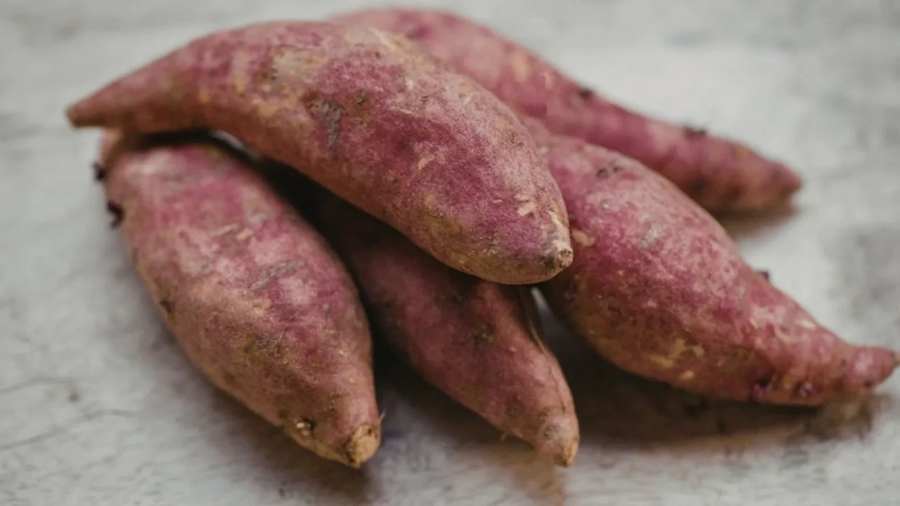 Doğal renk filtreleri: Beta-karoten ve karotenoid kalkanı