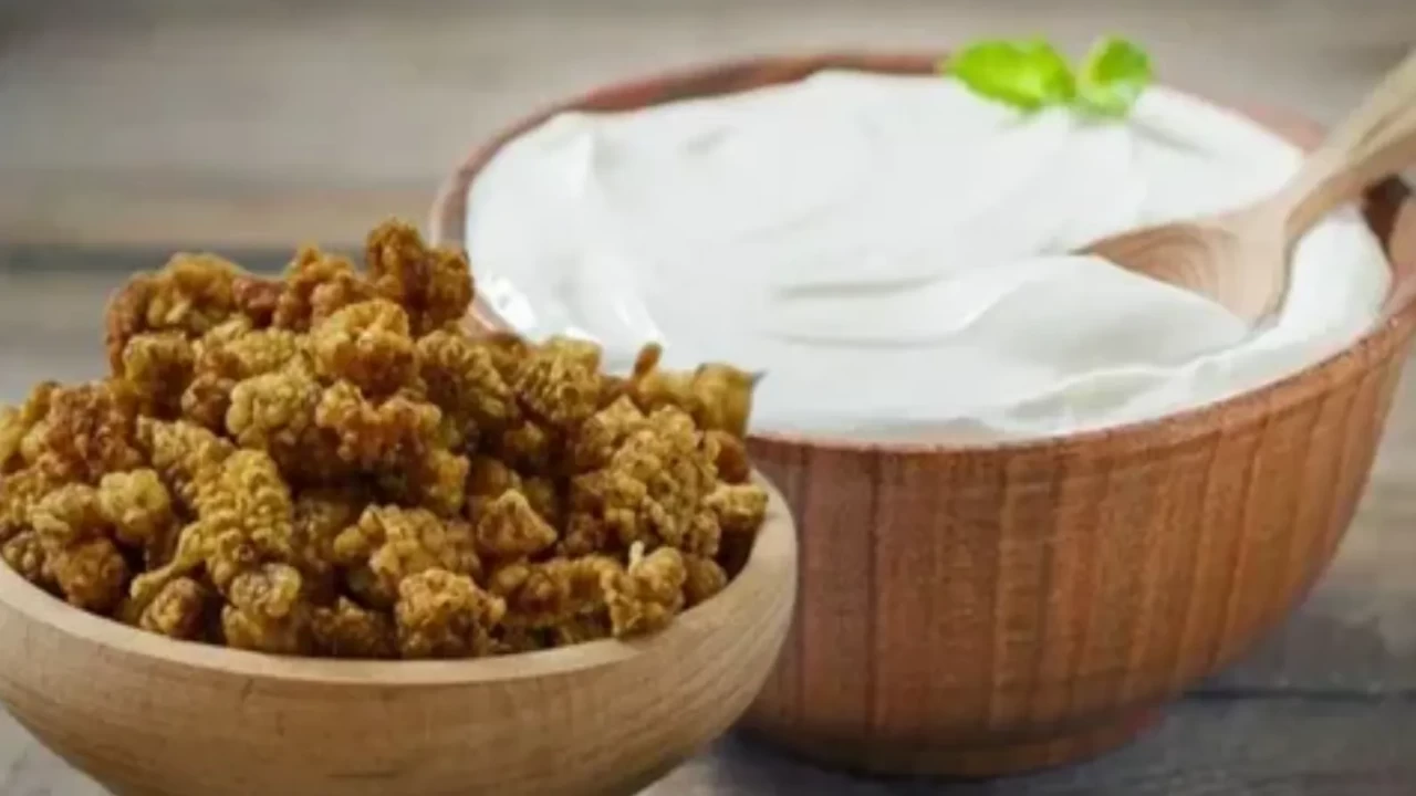 Yoğurt ve kuru dut karışımı neye iyi geliyor?