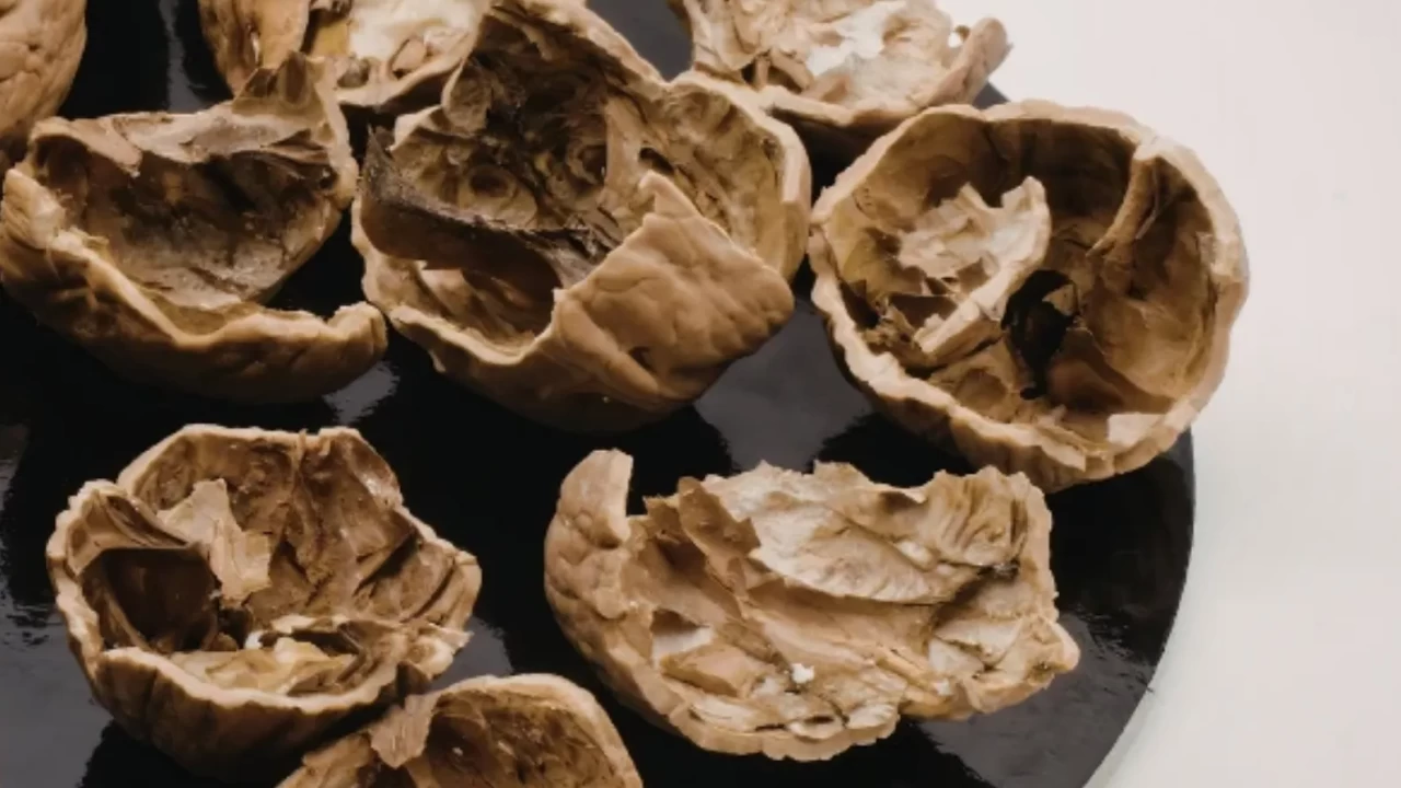 Ceviz Kabuğu ile Mucize Temizlik! | Doğal Leke Çıkarıcı Tarifi