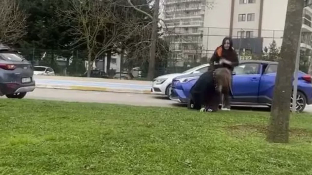 Pendik’te 'yol verme' meydan savaşı: Okul önünde annelerin saç saça kavgası!