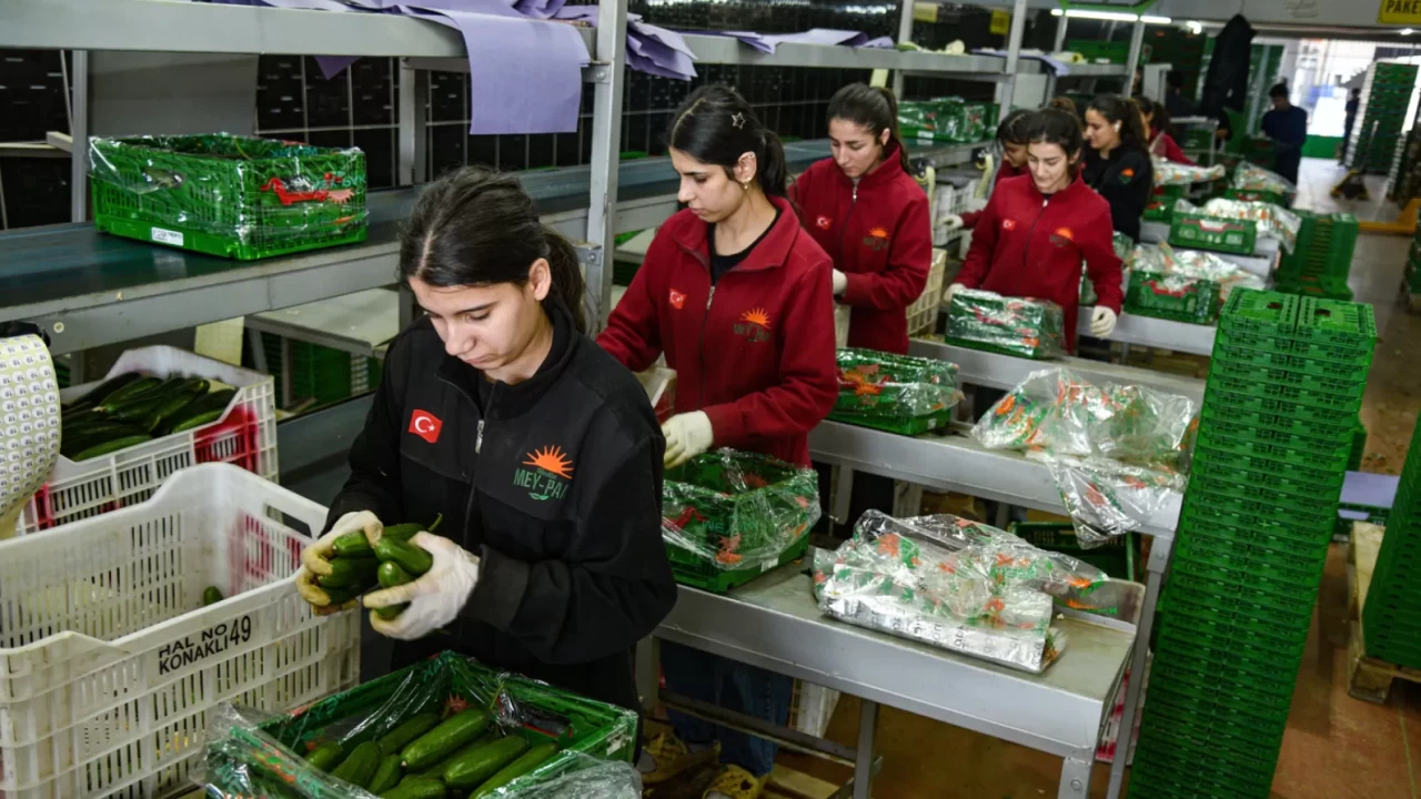 Rusya rotayı sebze rotası değişti! İran’daki kriz Türkiye ihracatını artırdı