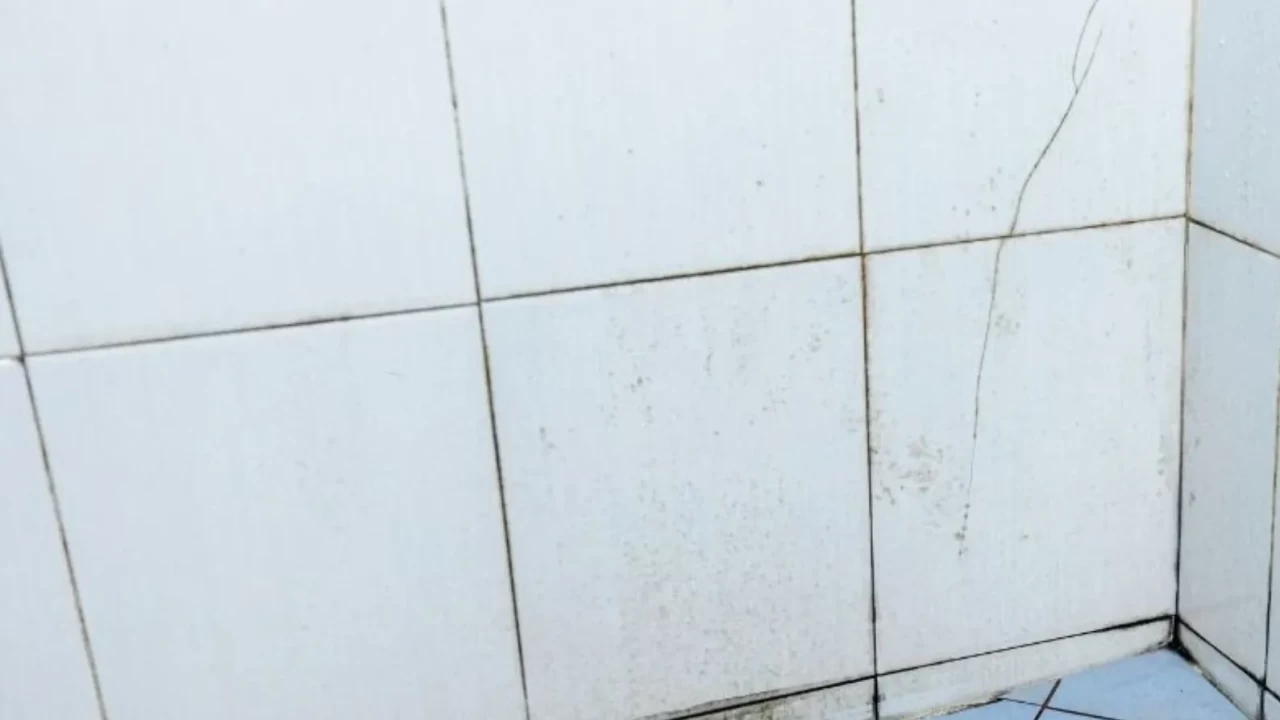 Banyonuz Işıl Işıl Olsun! | Doğal Küf ve Kireç Temizliği Rehberi