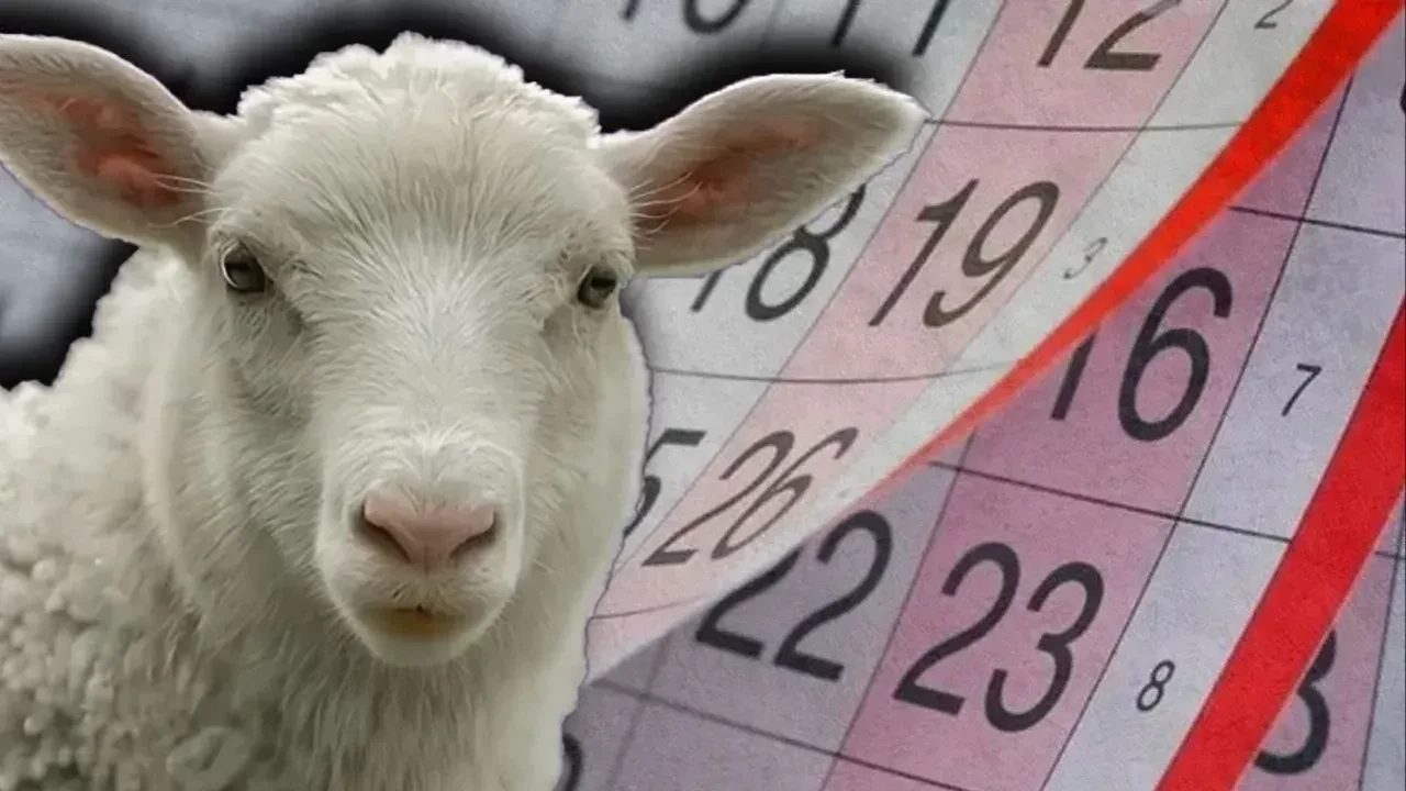 Kurban Bayramı kaç gün, 9 gün mü? 2026 Kurban Bayramı hangi güne denk geliyor?