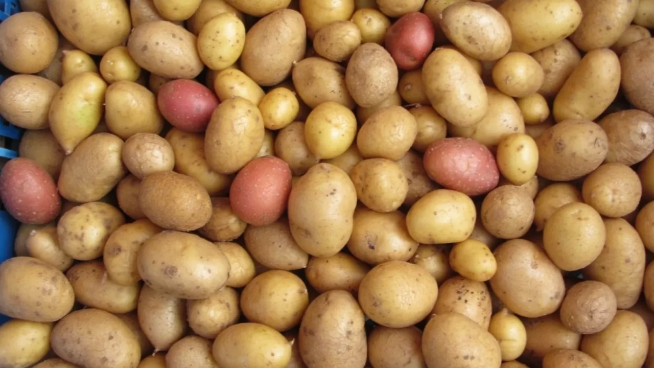 Toprağın bereketi rüyada: Patates görmek ve yemek ne anlama gelir?