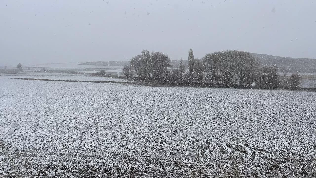 Bazı illerde kar etkili oldu
