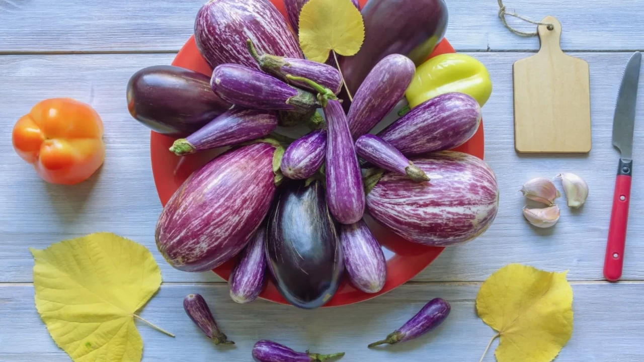 Patlıcan Çeşitleri ve Özellikleri | Hangi Yemekte Hangi Patlıcan Kullanılır?