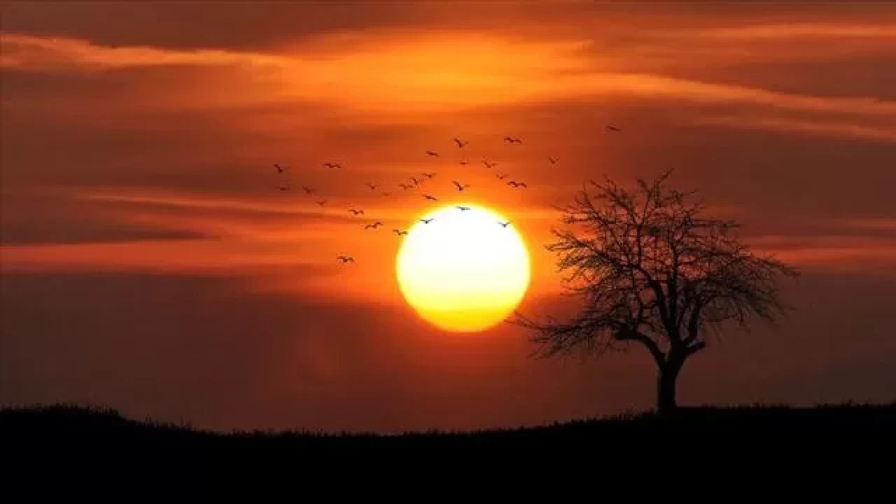 Son 11 yıl tarihin en sıcak yılları oldu