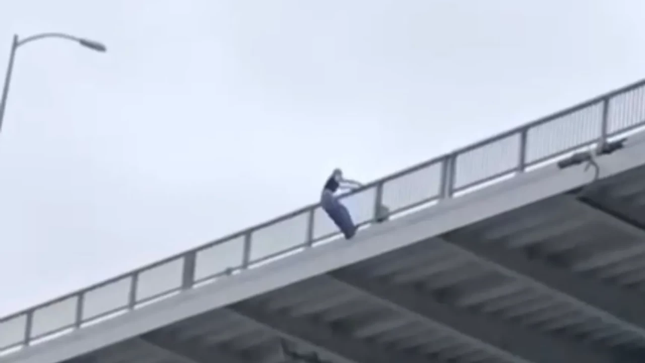 Dakikalarca dil döktüler ama olmadı! Osmangazi Köprüsü’nden atlayan kadının fenomen olduğu ortaya çıktı