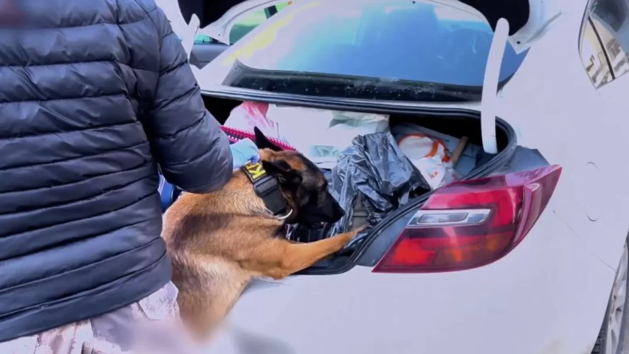 Zehir tacirlerine 73 ilde darbe: 475 kişi tutuklandı