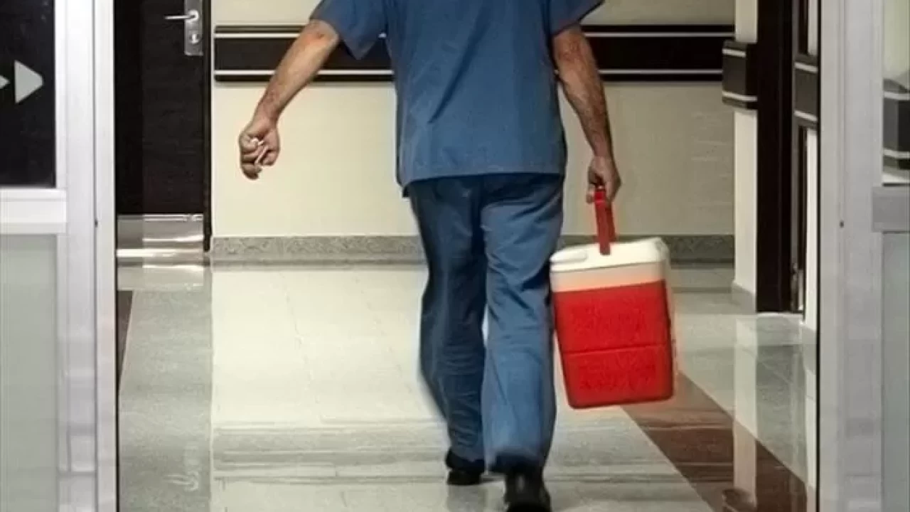 Bursa, organ bağışında Türkiye'de lider oldu!
