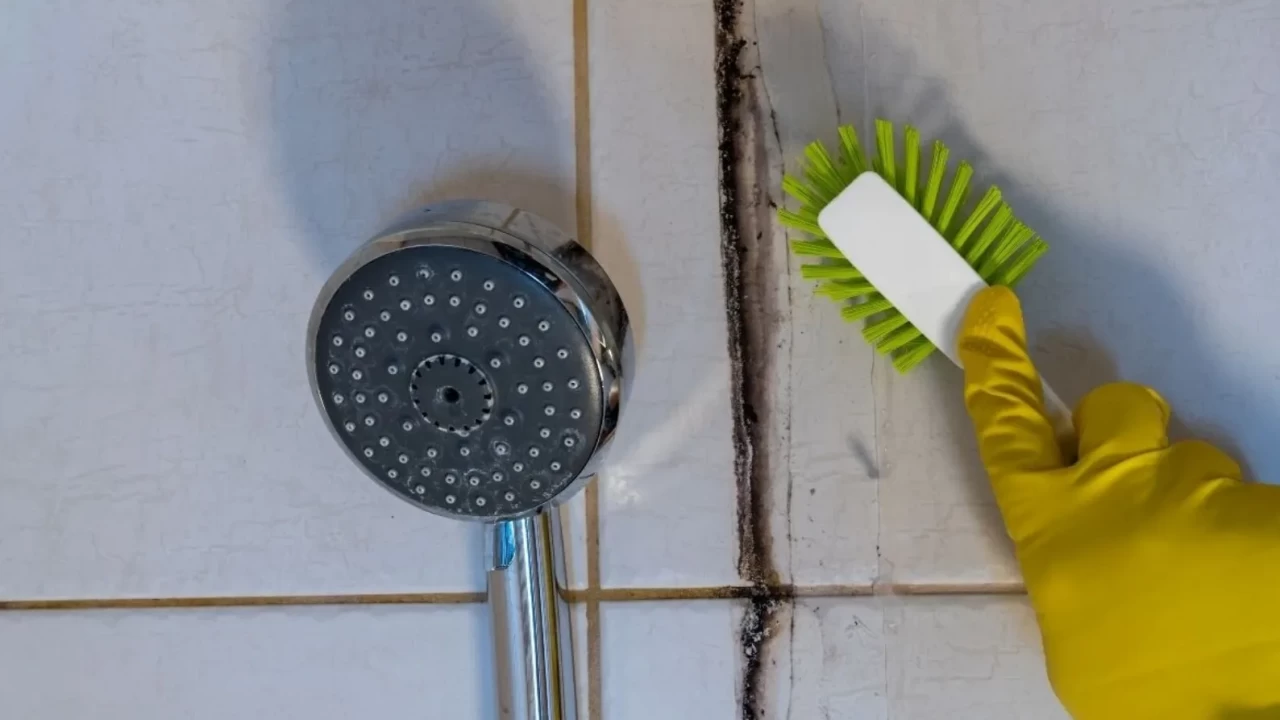 Banyodaki küf ve kirece son!