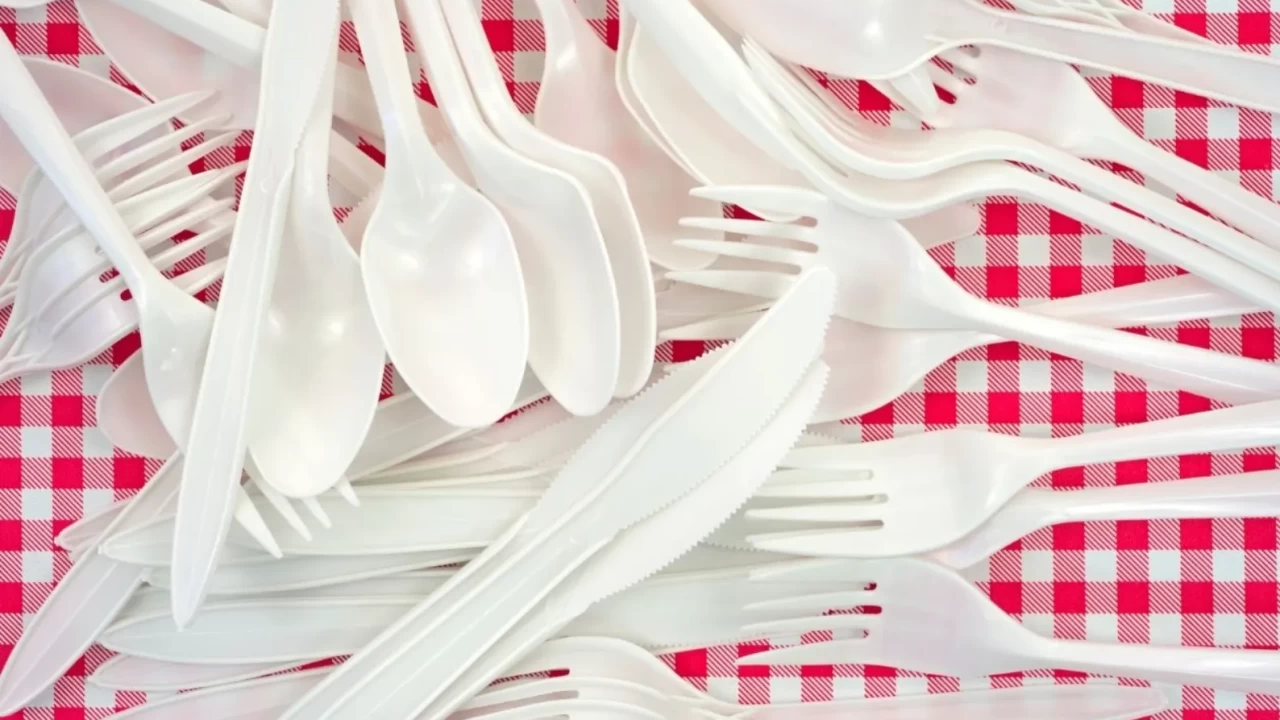 Türkiye'de Plastik Yasağı Başlıyor: 2026 Sonu Hedef Tarih!