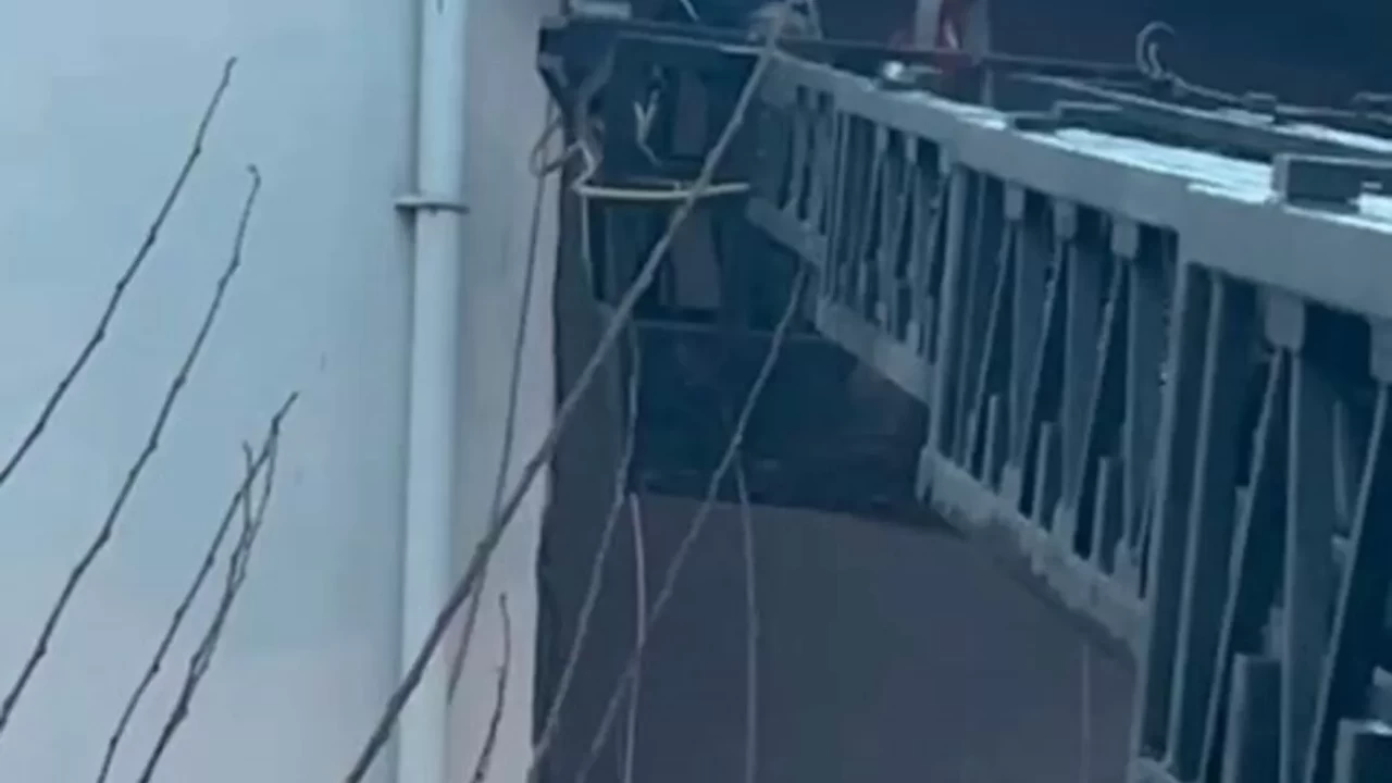 Diyarbakır'da itfaiye, ipte asılı kalan güvercini böyle kurtardı