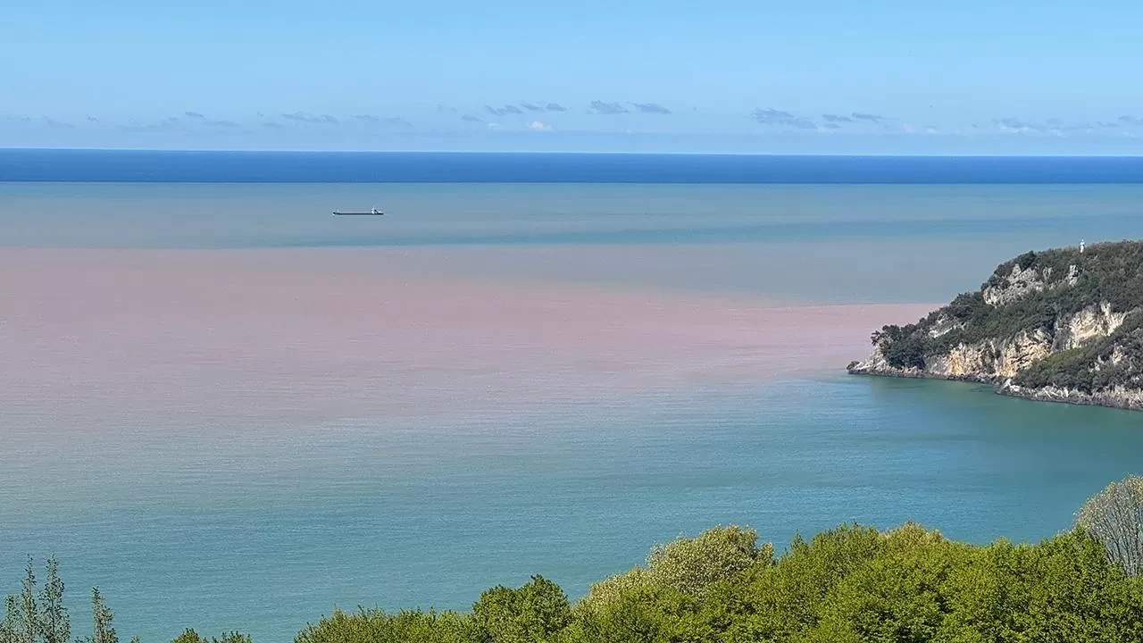 Van Gölü'nün son halini görenler inanamadı! Masmavi göl kahverengiye döndü
