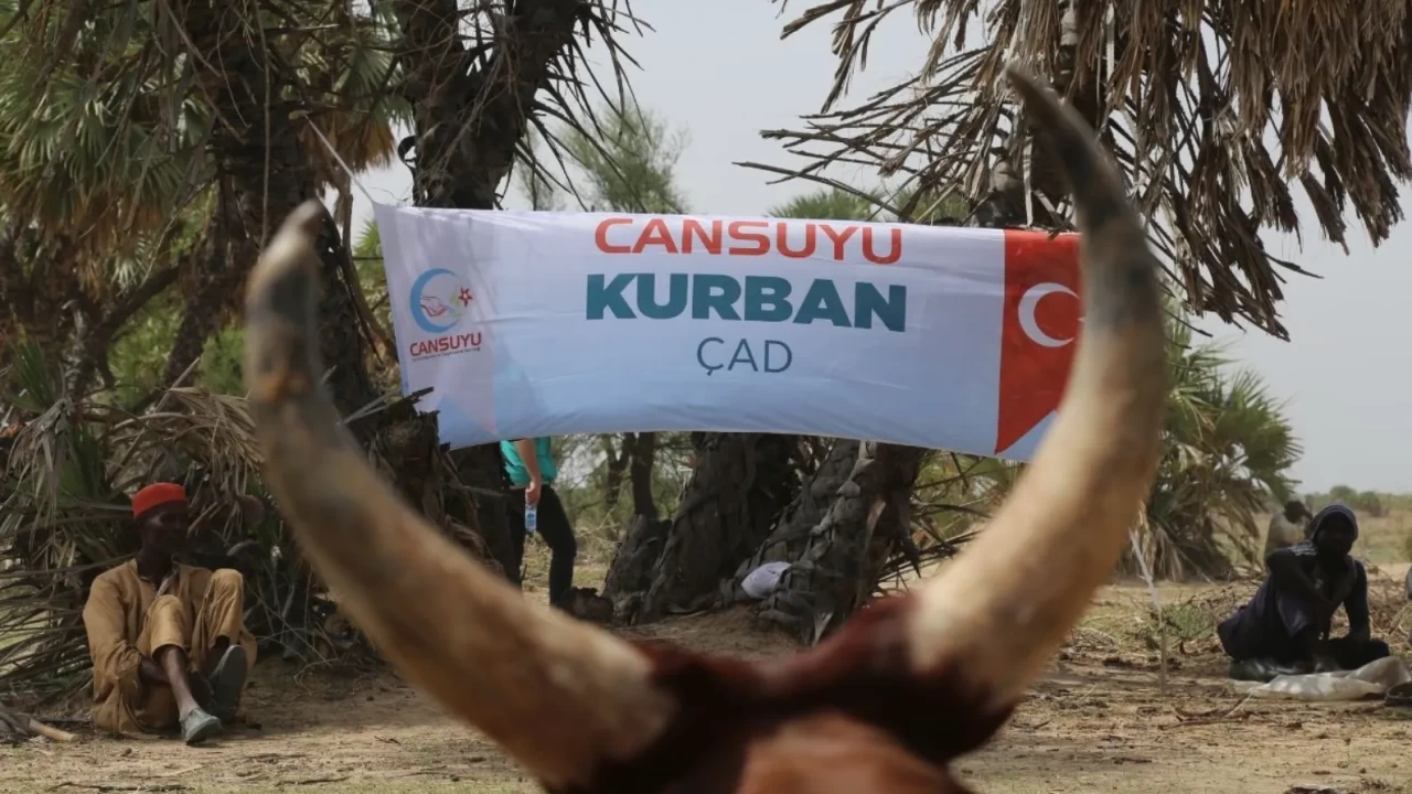 Cansuyu’ndan 2026 kurban seferberliği: Çeyrek asırlık güven, milyonlarca dua!
