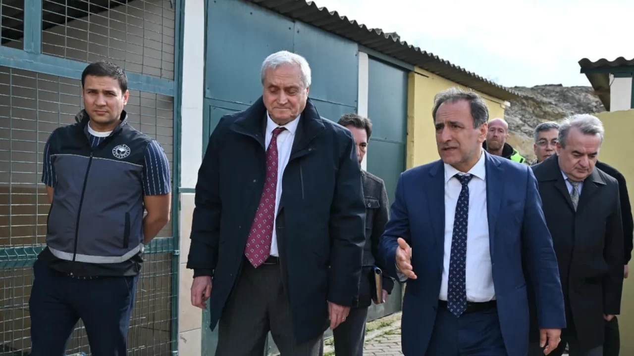 Bozüyük'teki 'vahşet' barınağına Bakanlık el koydu: Köpeklerin birbirini yediği iddiaları ortalığı karıştırdı!