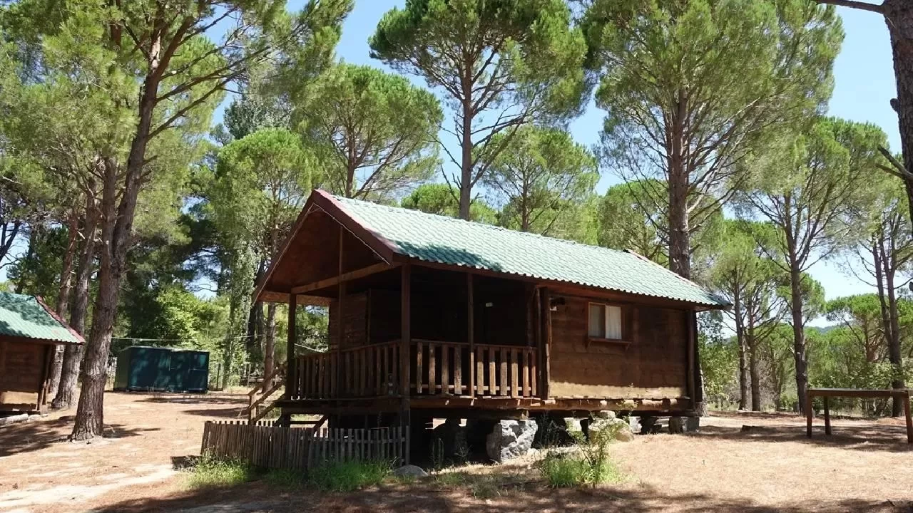 8 ilde “bungalov” dolandırıcılığı operasyonu: 9 şüpheli tutuklandı