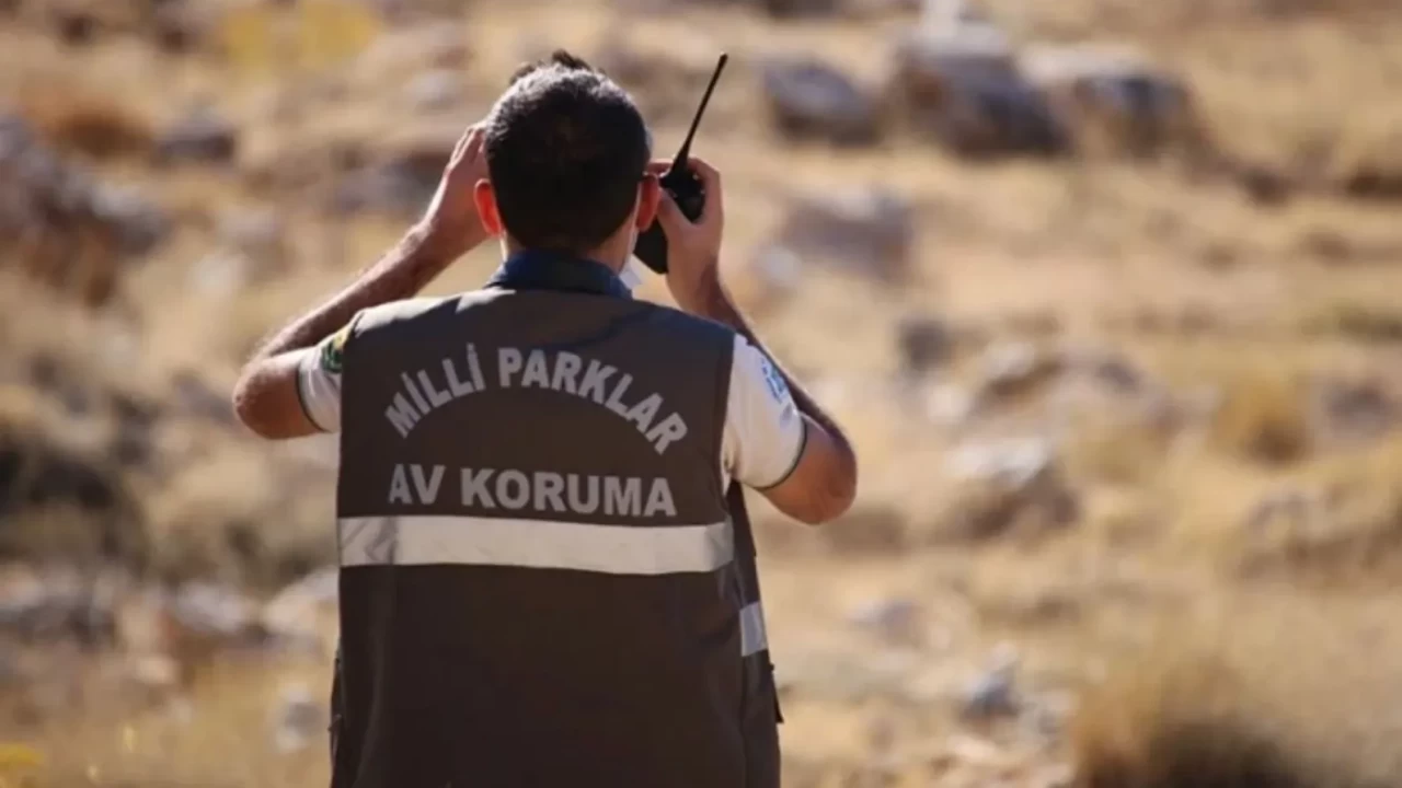 Tarım ve Orman Bakanlığı 10 müfettiş alımı yapacak: Başvuru şartları ve tarihleri