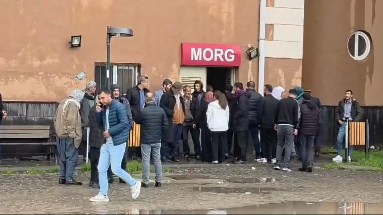 Diyarbakır'da ağaca yıldırım isabet etti: 2 ölü, 1…