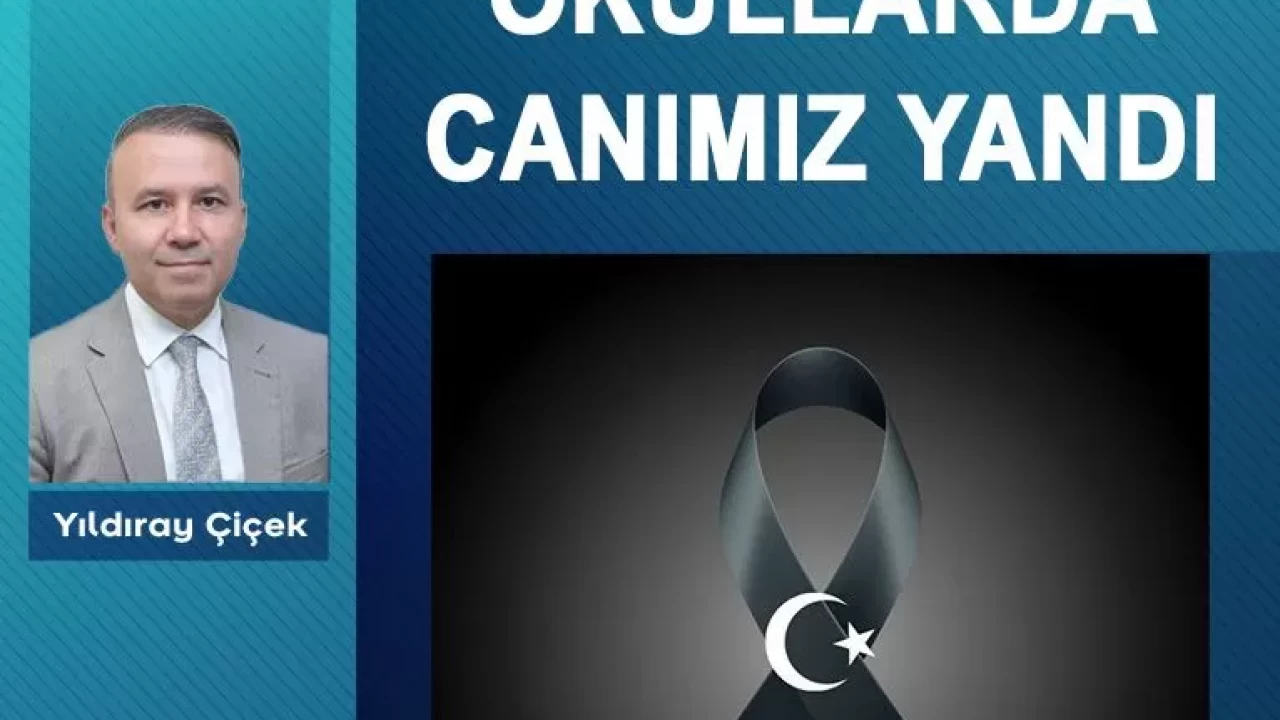 Okullarda canımız yandı