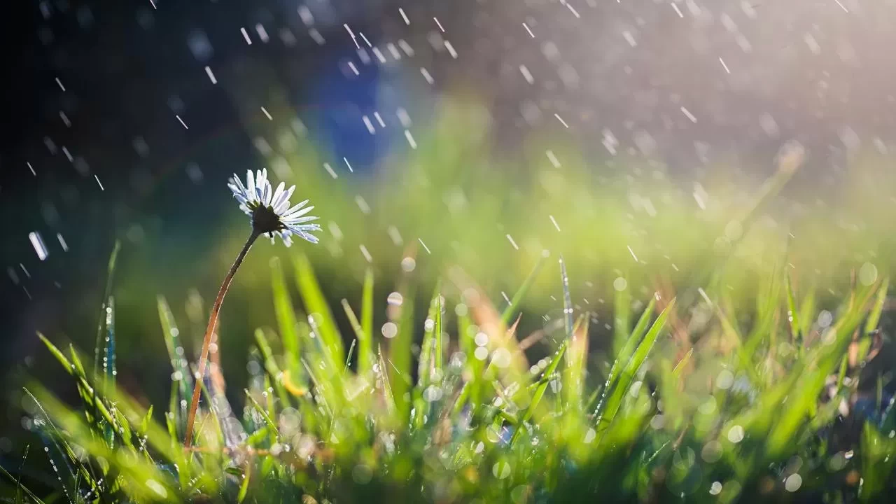 Nisan yağmuru şifa duası 2026! Nisan yağmuru ne zaman toplanır, içilir mi?