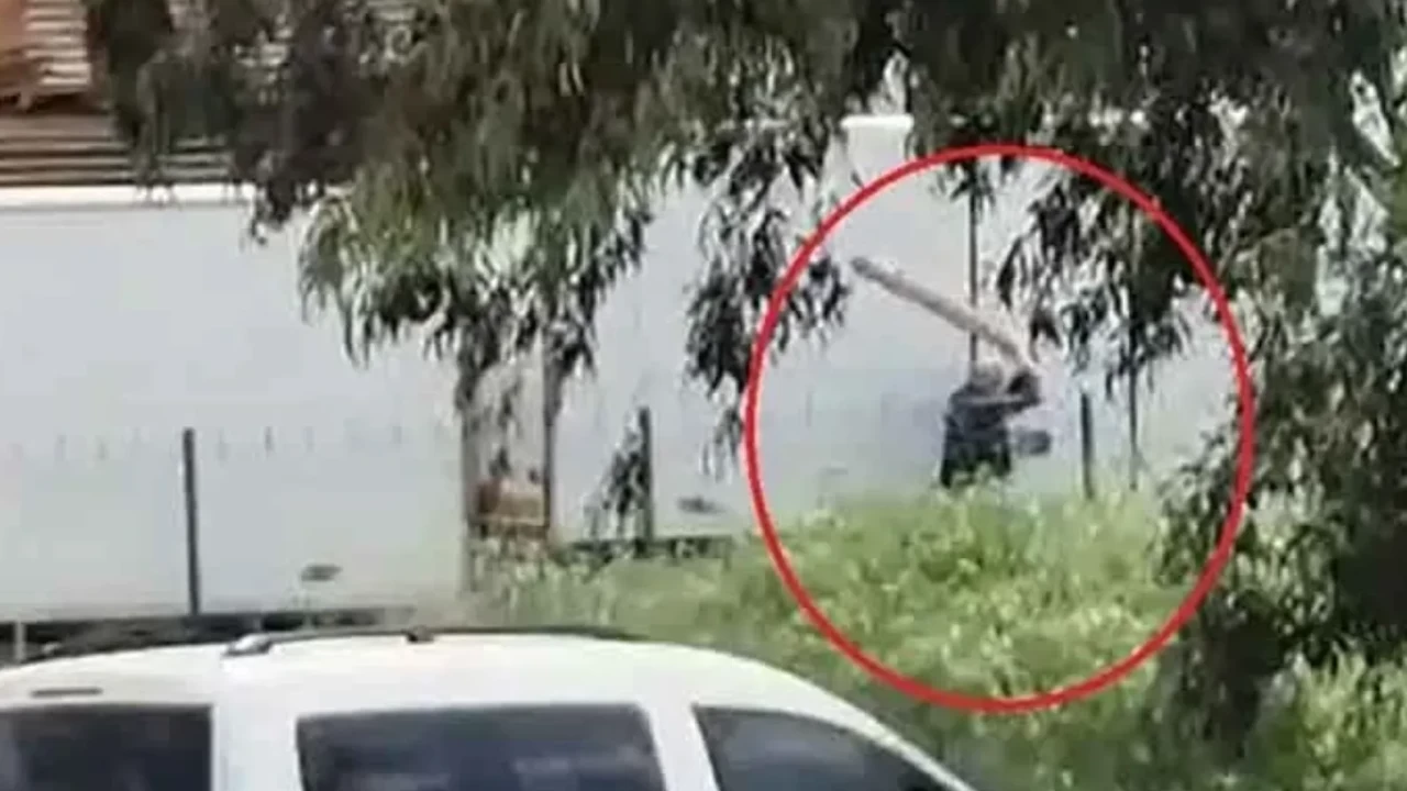 Vicdanları sızlatan görüntüler: Köpeğe saldıran işletme bekçisi gözaltına alındı