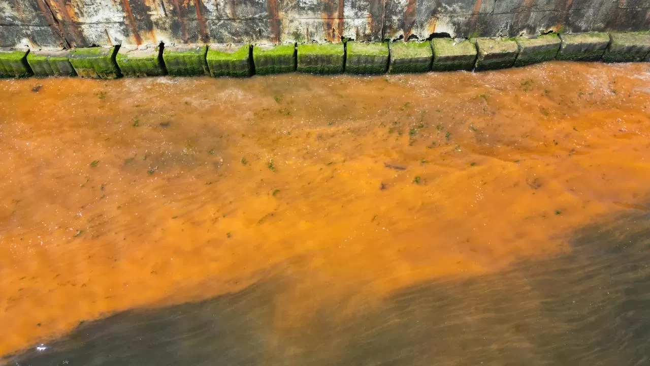 Tekirdağ sahillerinde renk değişimi: Deniz turuncu ve kahverengiye döndü