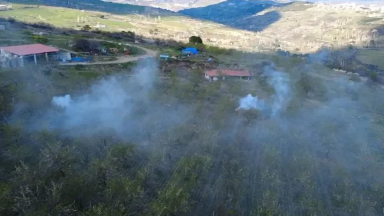 Manisa’da badem üreticisi 'don' nöbetinde: Bahçelerde dumanlama seferberliği!