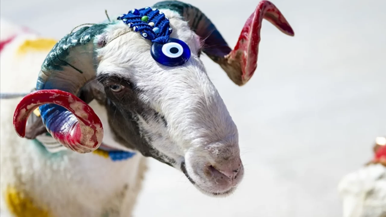 KURBAN BAYRAMI TATİLİ 9 GÜN OLUR MU? 2026 Kurban Bayramı ne zaman, hangi gün başlıyor? İşte Diyanet takvimi ve tatil planı!