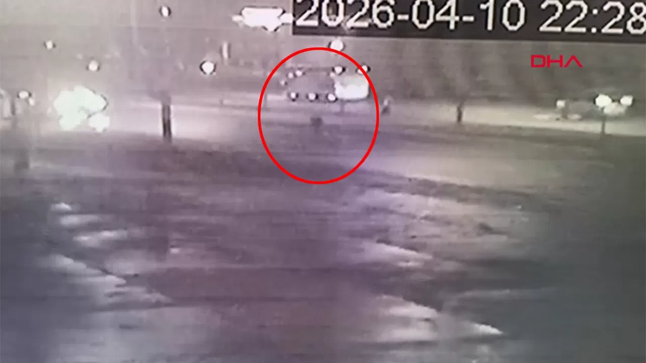 Yola düşen telefonunu almak istedi, araba çarptı!