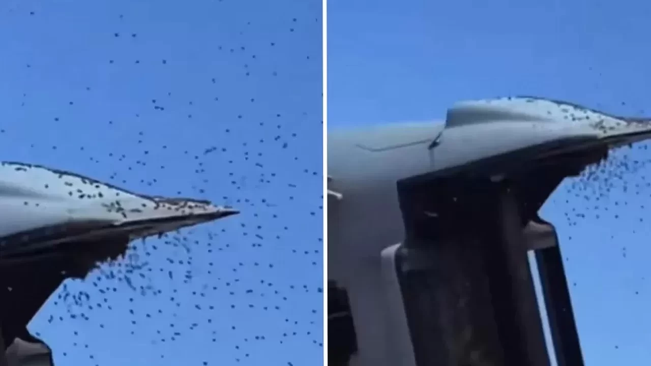 İsrail’de arı istilası! Gökyüzü sarıya büründü, askeri uçuşlar durdu