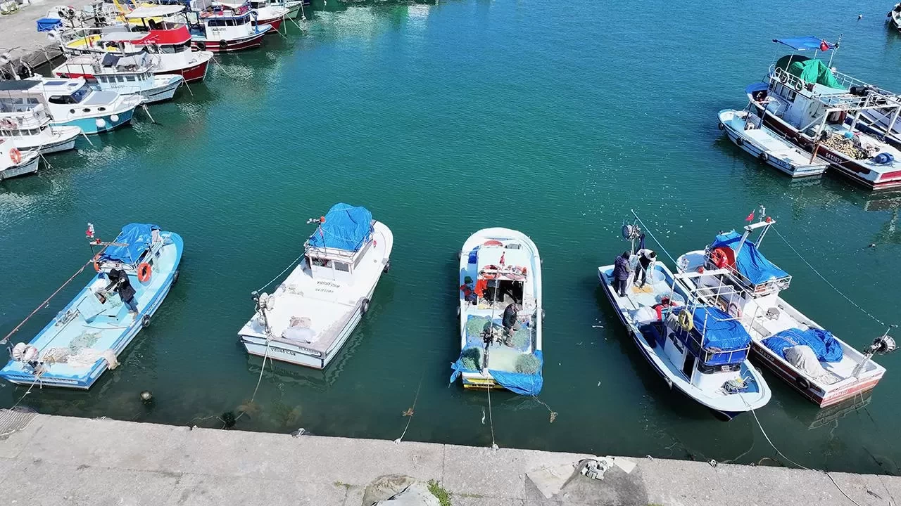 Sezon açıldı ama beklenen olmadı: Balıkçılar limana boş döndü