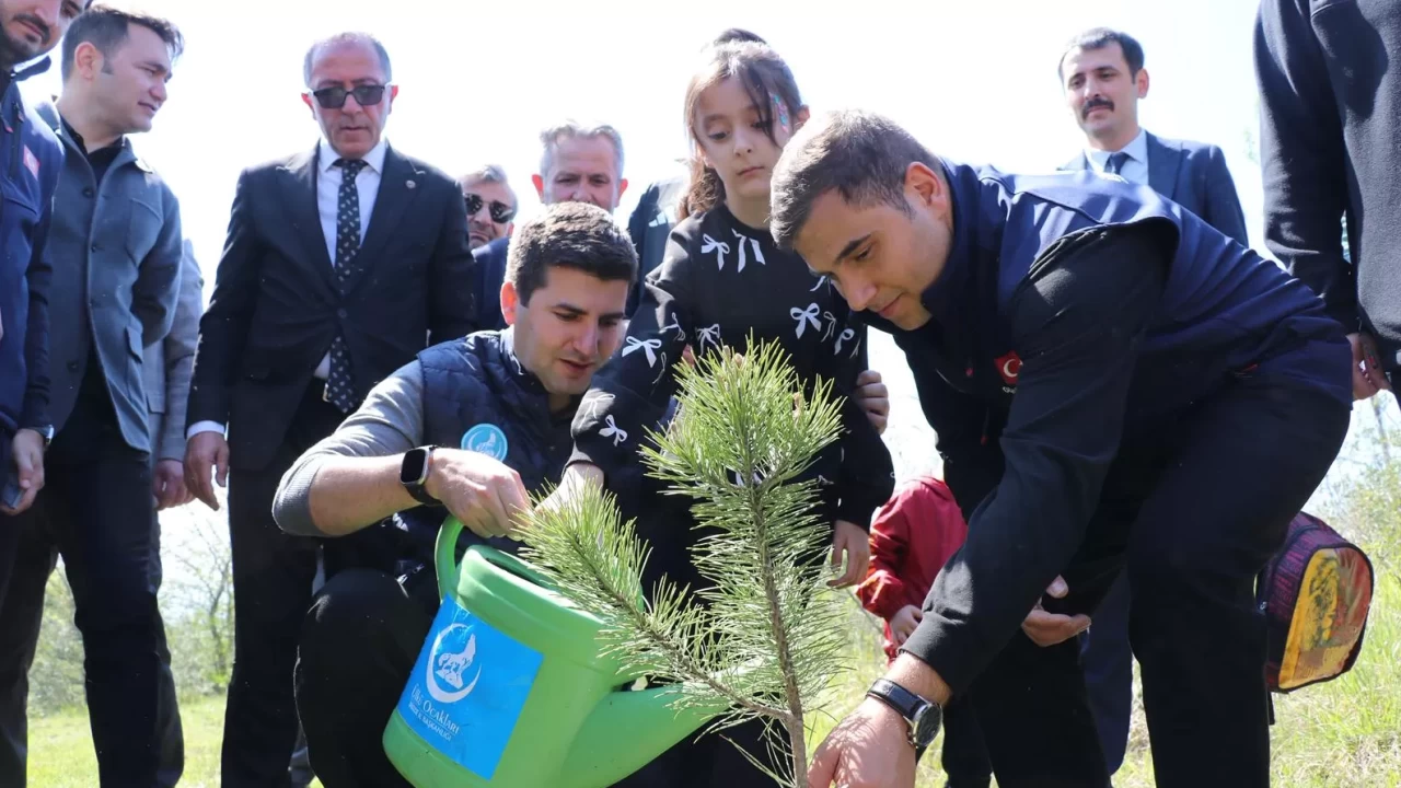Düzce’de 'Devlet Bahçeli Hatıra Ormanı' için 200 fidan dikildi