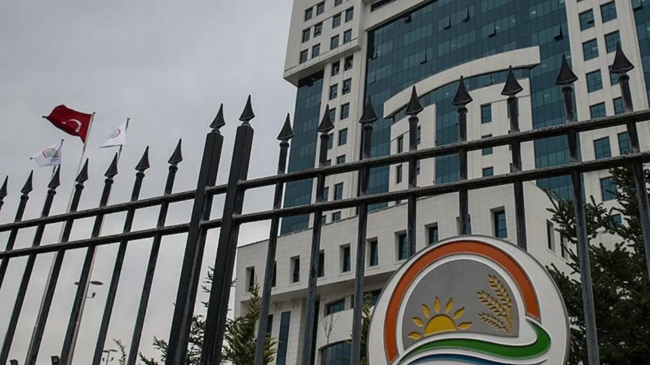 Gıdada etiket devrimi: 'Doğal' ve 'taze' demek artık o kadar kolay değil!