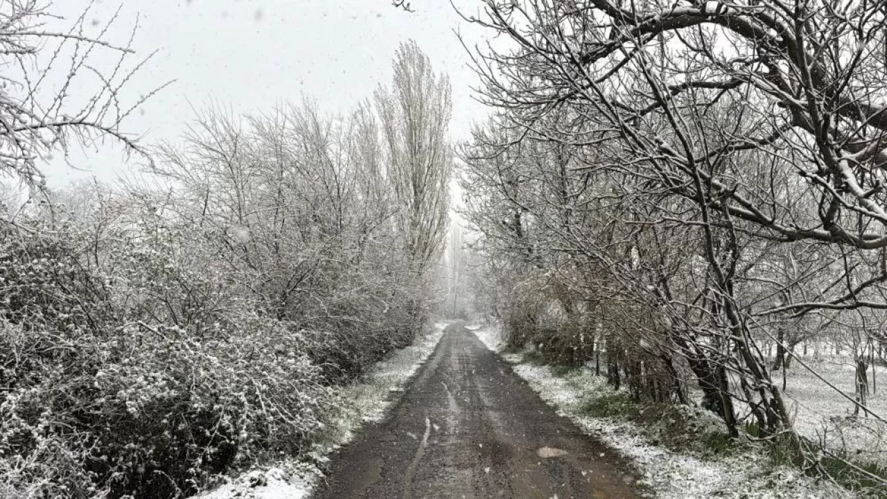 Lapa lapa kar yağdı! İlçe beyaza büründü
