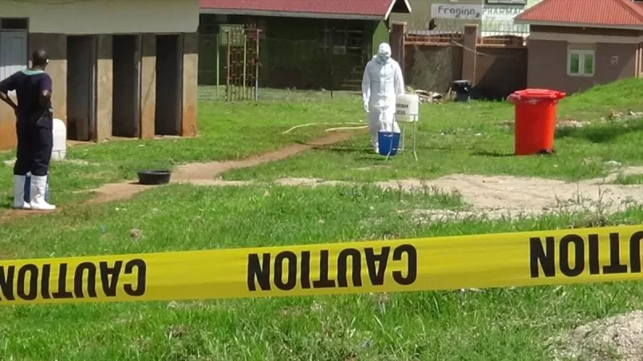 DSÖ’den Ebola alarmı: Küresel acil durum ilan edildi