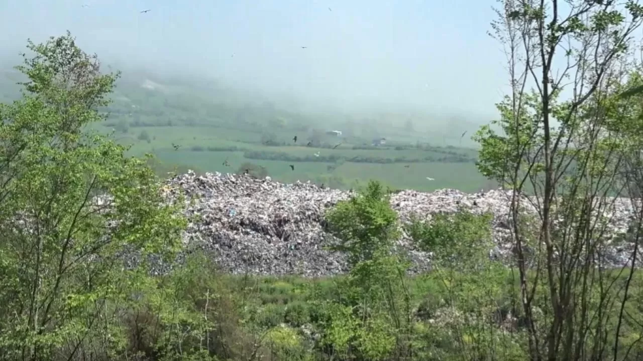 Sinop'ta çevreyi kirleten tesise ceza