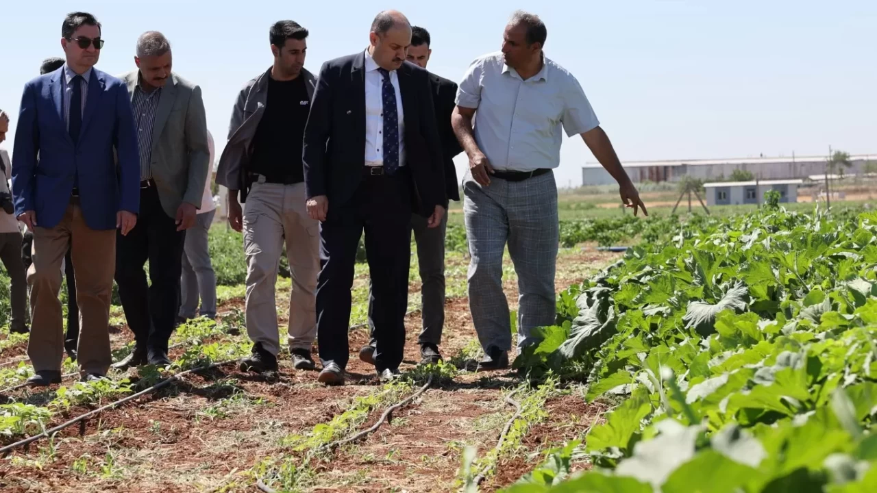 ŞANLIURFA BÜYÜKŞEHİR BELEDİYE BŞK.
