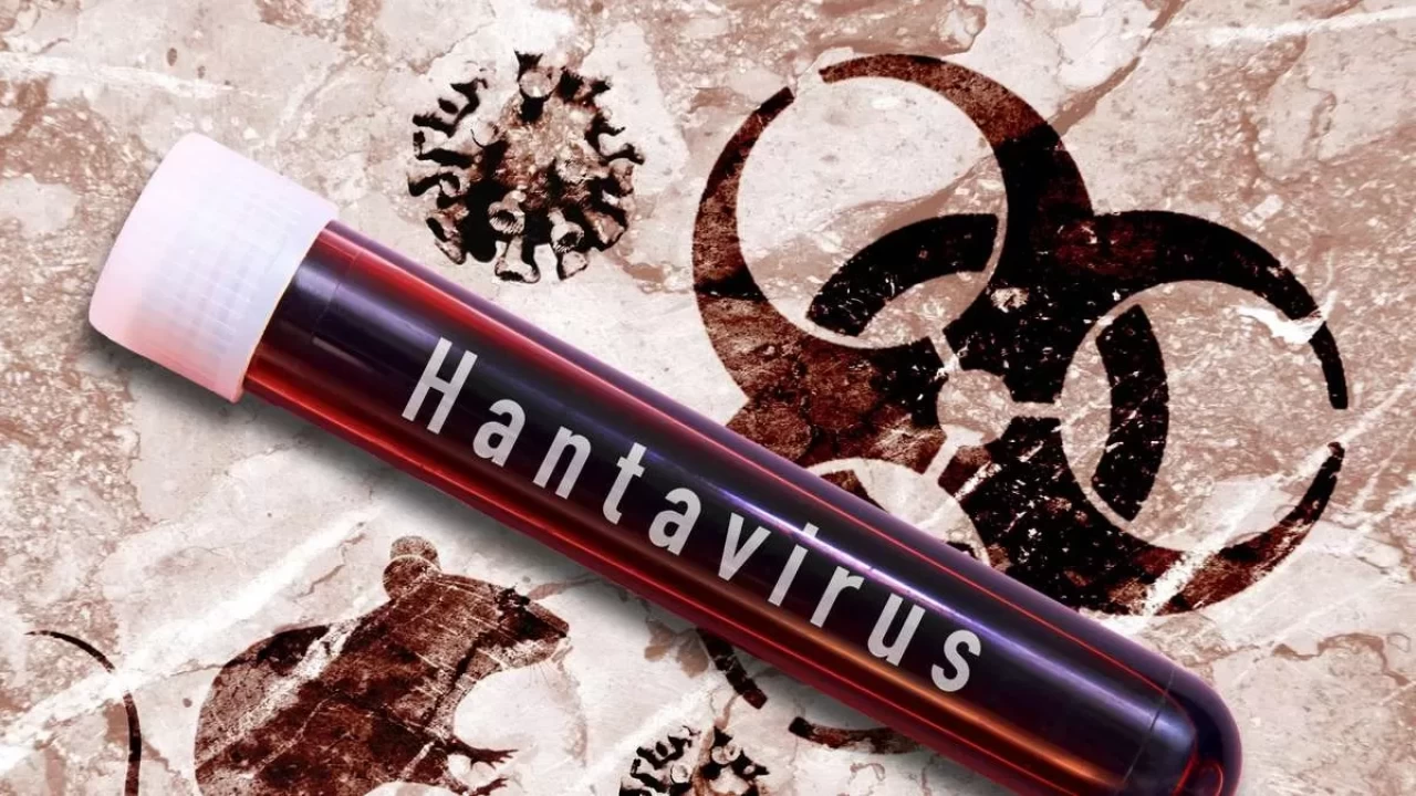 DSÖ’den hantavirüs açıklaması: Küresel risk düşük seviyede