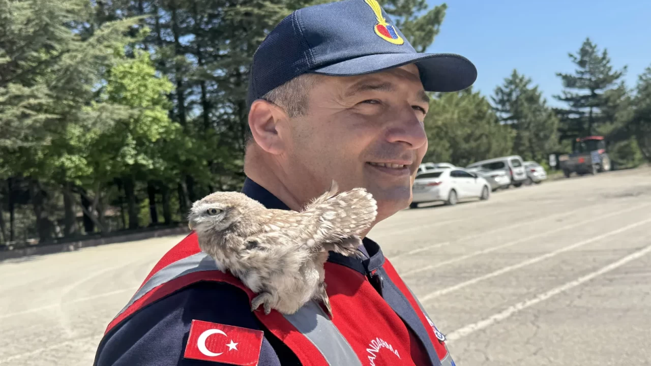 Yozgat’ta yürek ısıtan anlar: Cezaevi çatısından düşen bayku
