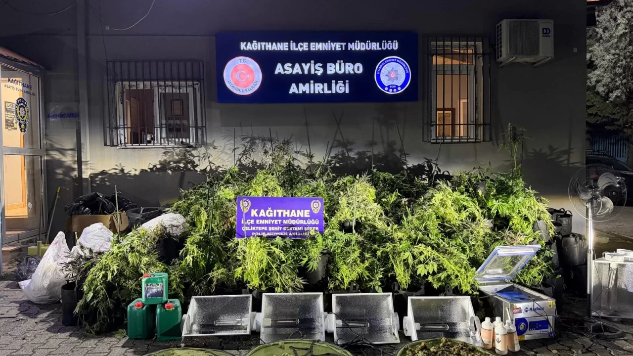 Kağıthane’de uyuşturucu serası baskını: Piyasa değeri 30 mil