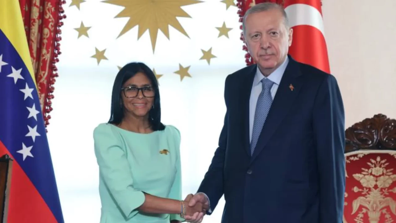 Cumhurbaşkanı Erdoğan, Venezuela Cumhurbaşkanı Vek