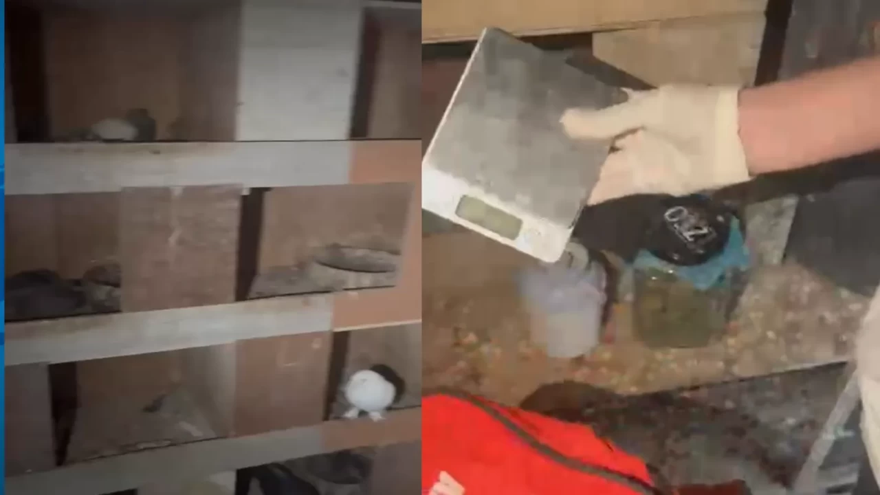 Kağıthane’de kuş kümesine operasyon! Şüphelilerin savunması 