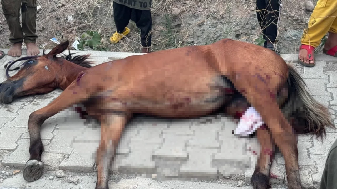 Osmaniye'de yola fırlayan ata minibüs çarptı