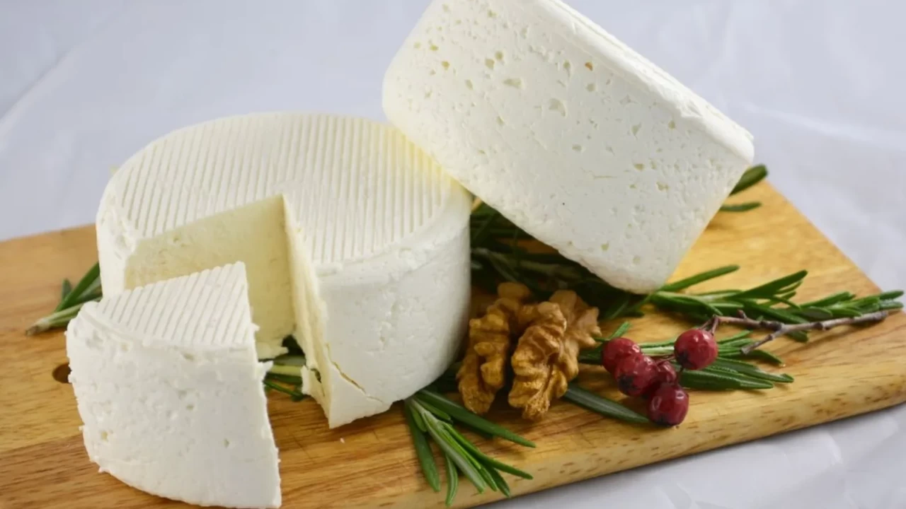 Listeria peynire nasıl bulaşır? Uzmanlar uyardı: Bu hatalar büyük risk oluşturuyor
