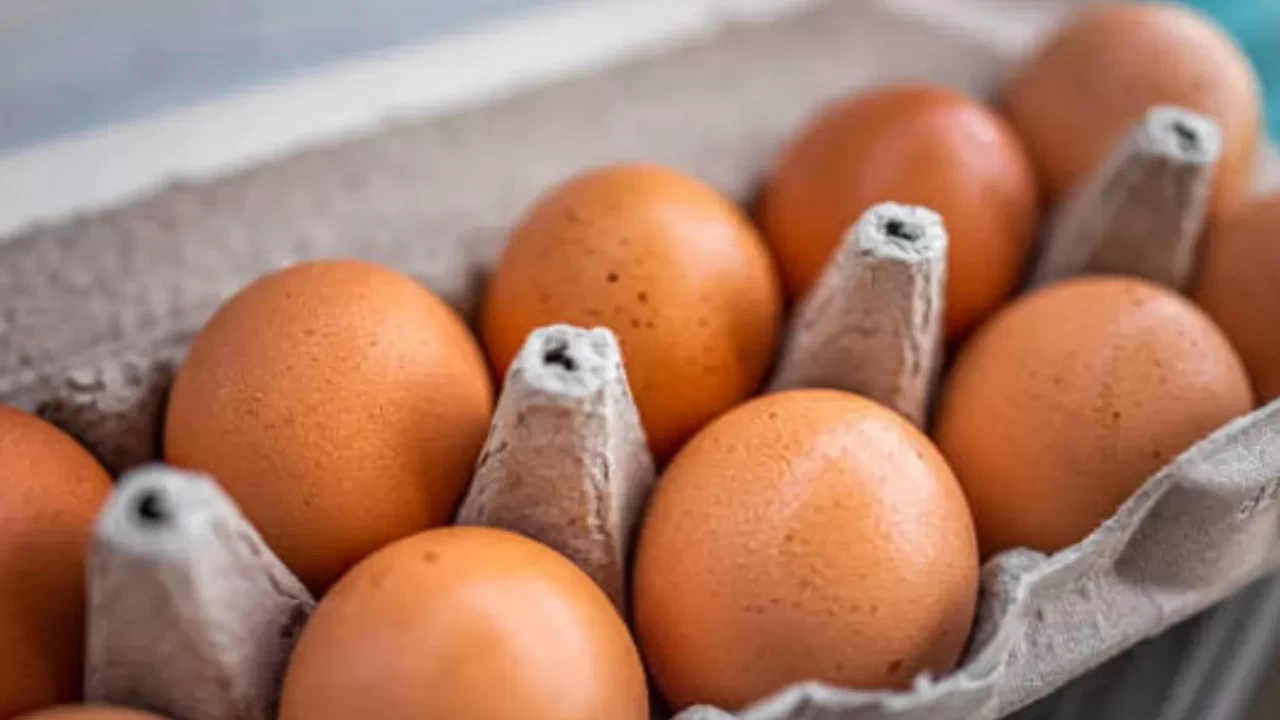 Her gün yumurta yemek zararlı mı?