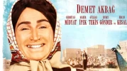 Hükümet Kadın filmi konusu, kadrosu ve gerçek hikayesi | Show TV