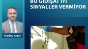 Bu gidişat iyi sinyaller vermiyor